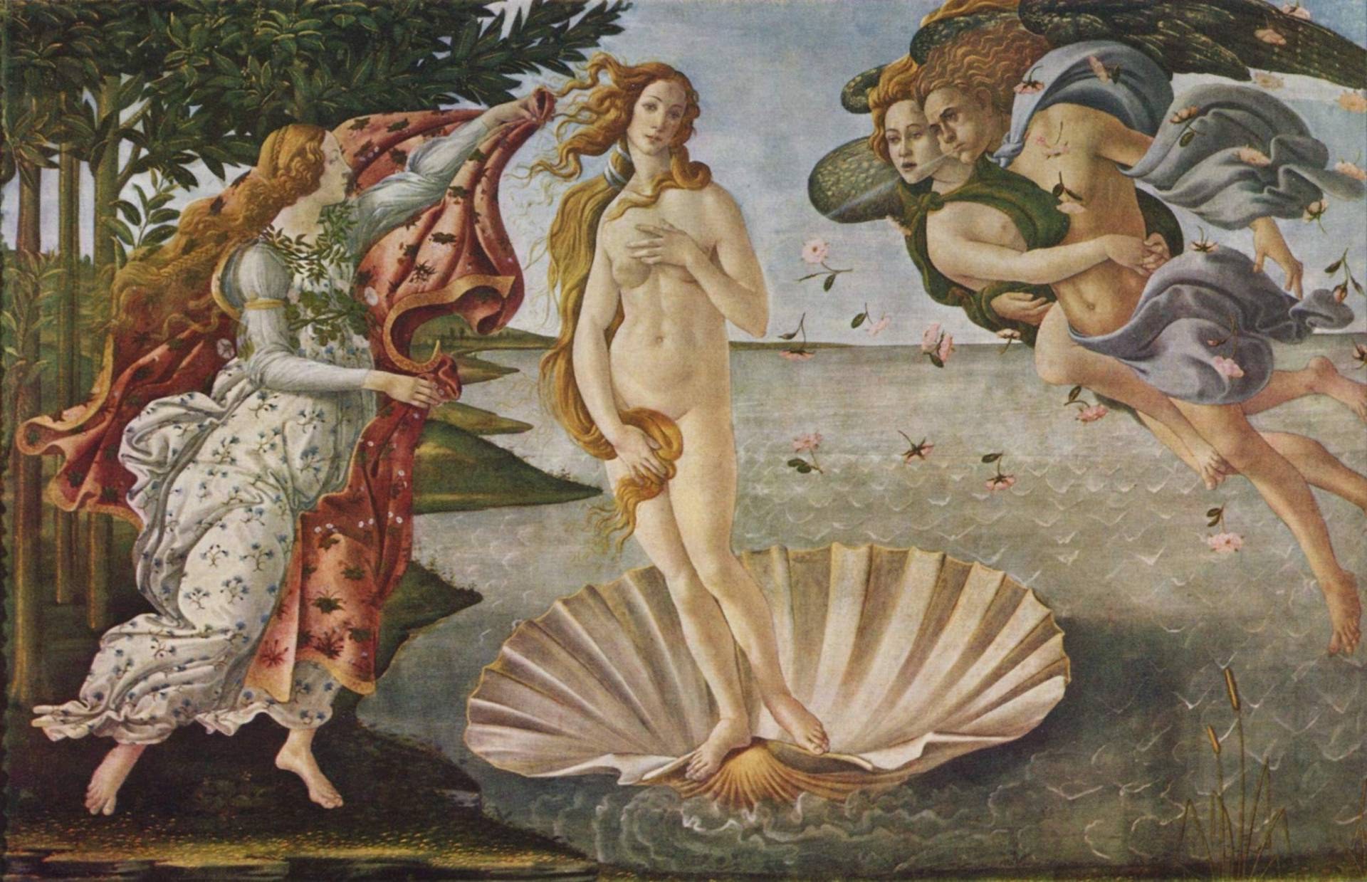 The Birth of Venus — The Mirror