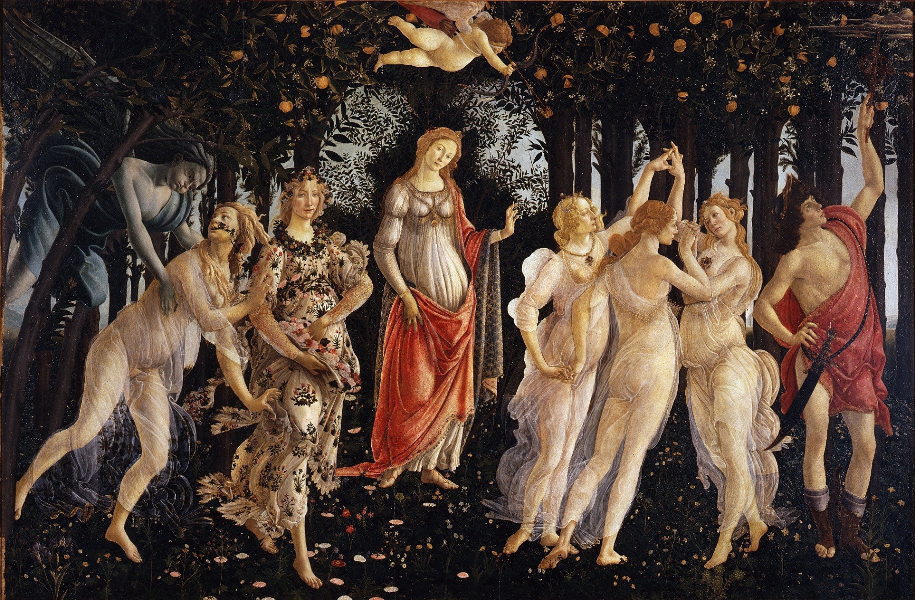 Primavera — The Mirror