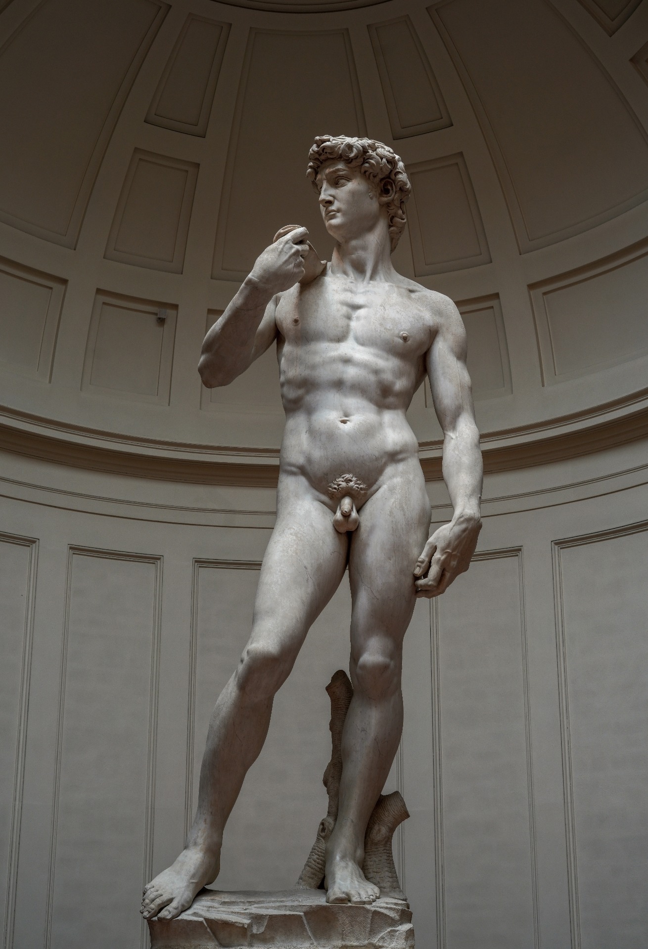 David — The Mirror