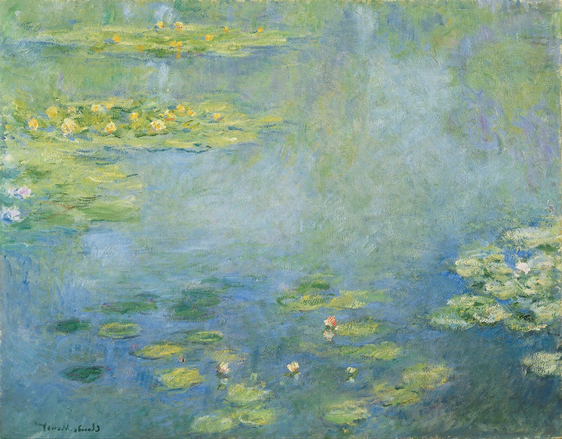 Water Lilies — The Mirror