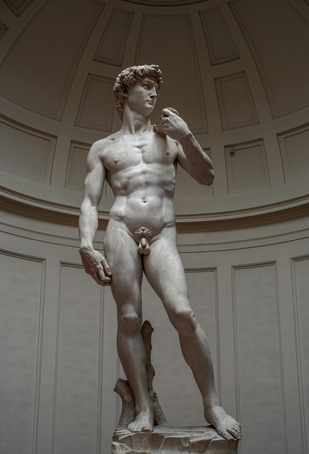 David — The Original